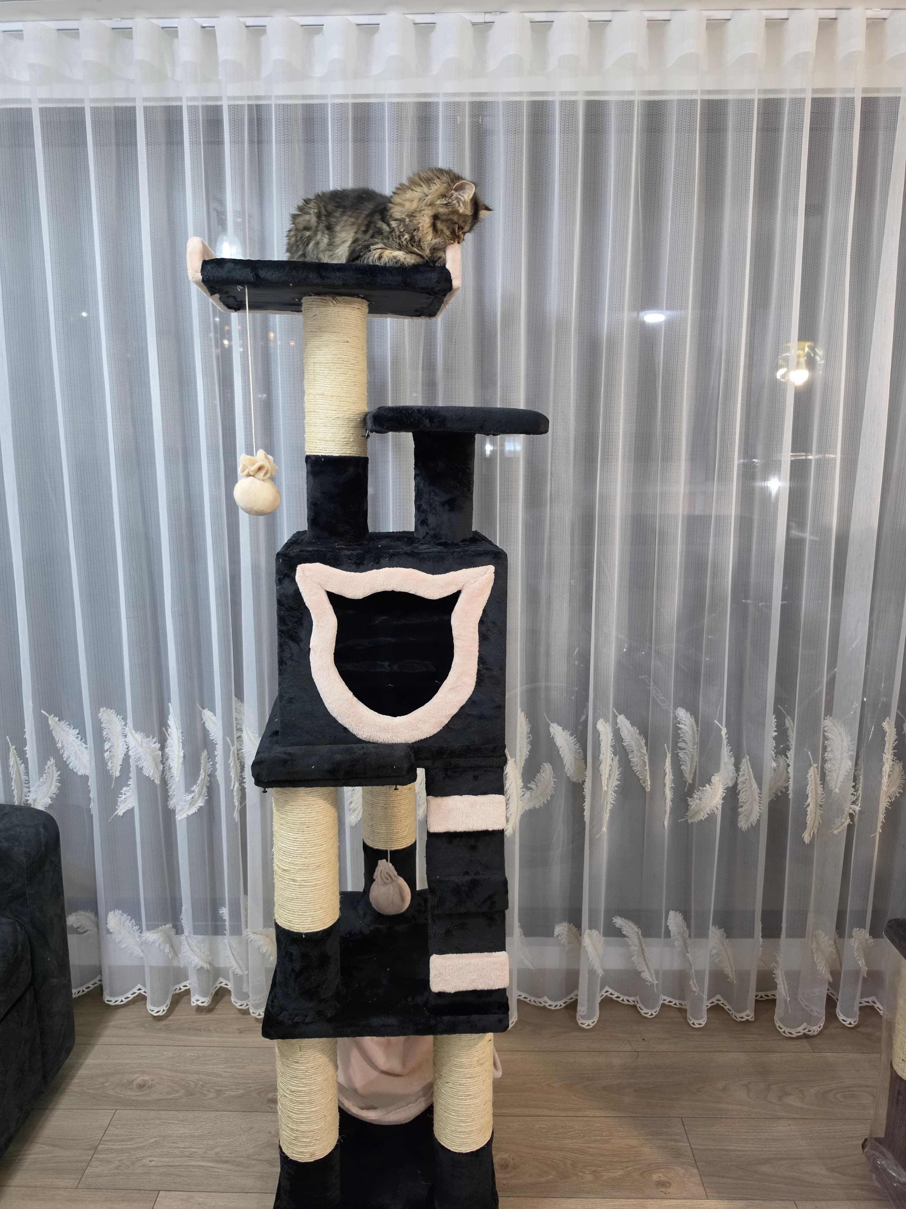 Gimnasio Rascador Gatos Torre 5 Niveles 1.70 cm miniatura 3