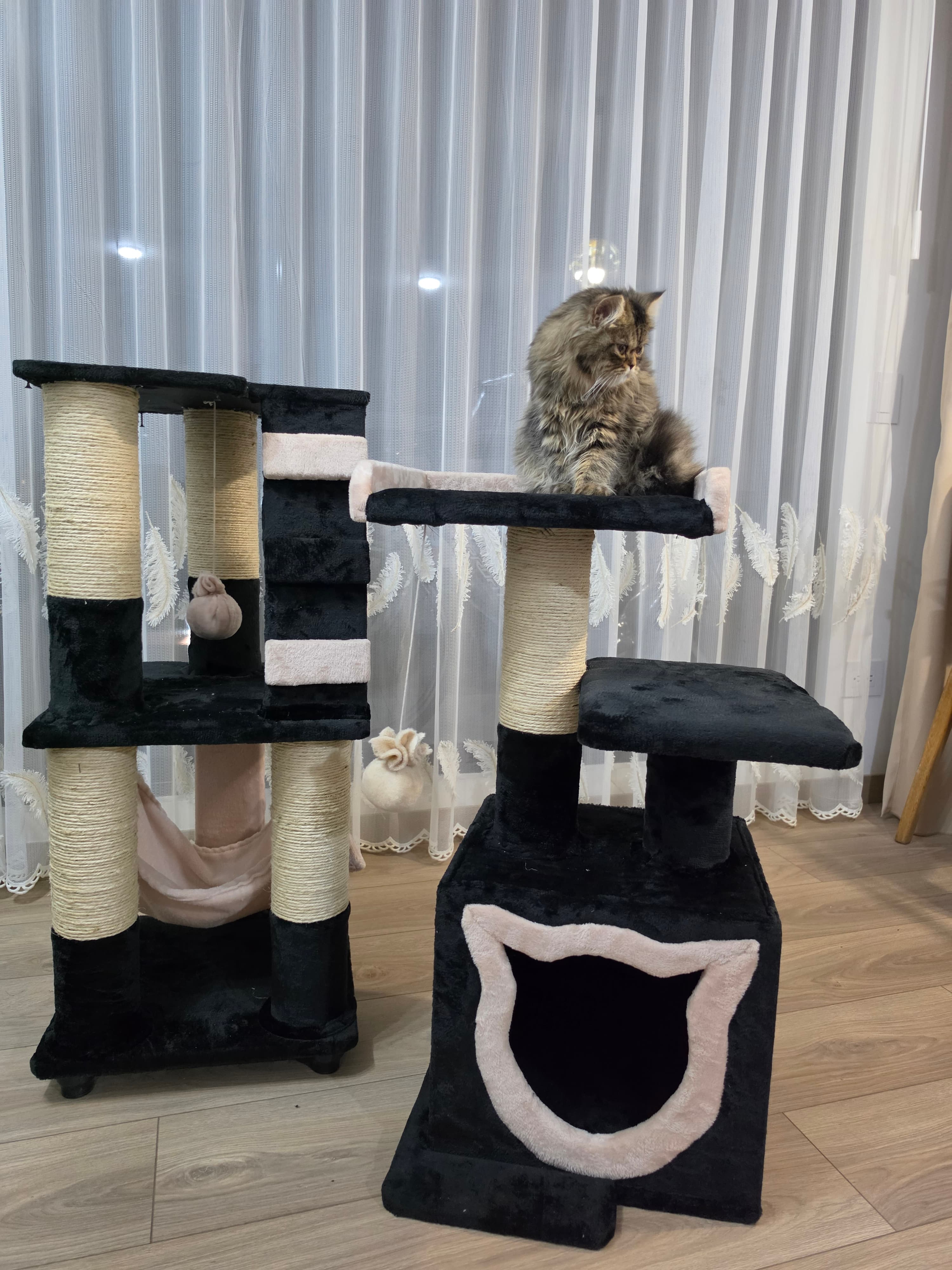 Gimnasio Rascador Gatos Torre 5 Niveles 1.70 cm miniatura 4