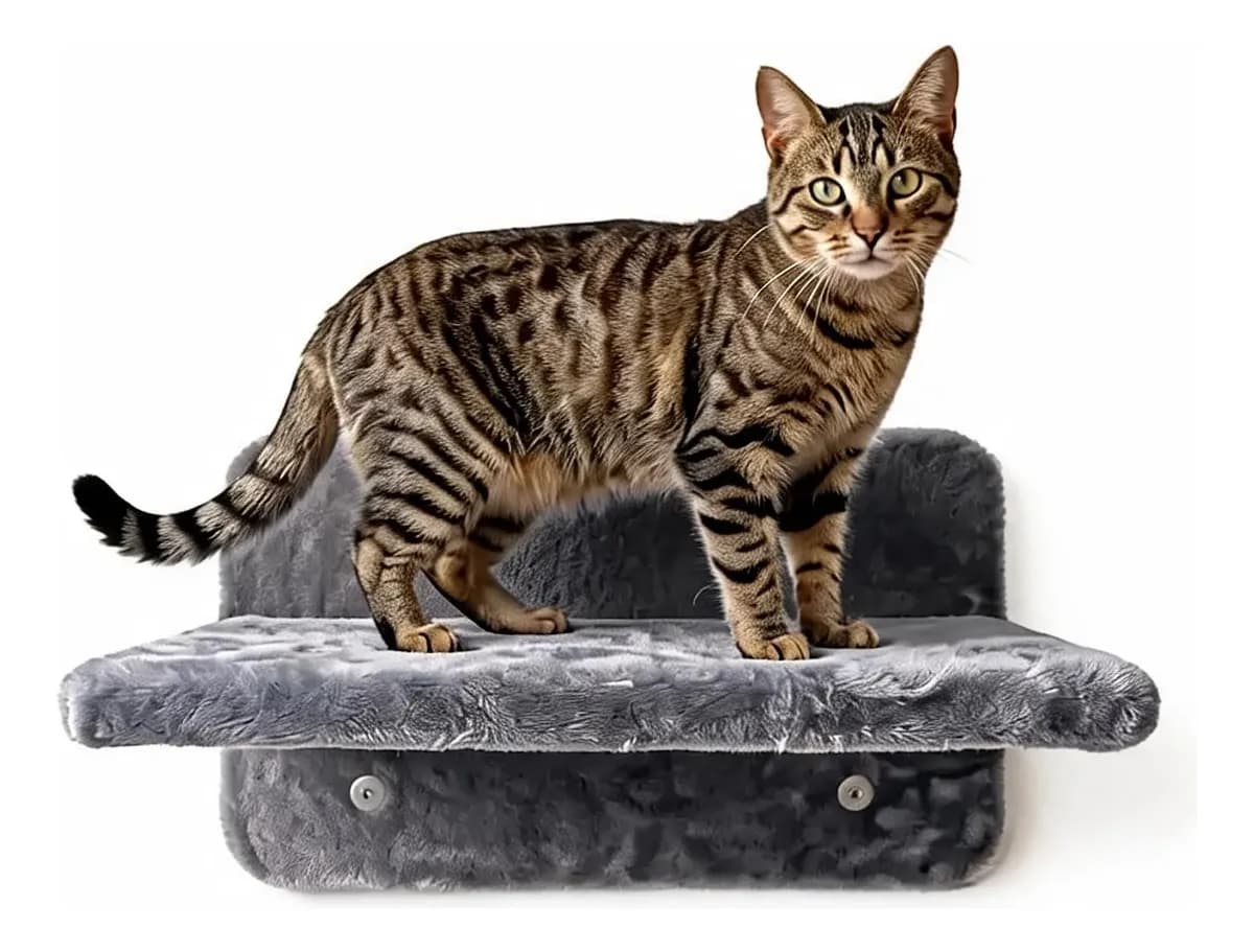 Repisa Flotante Para Gatos 30x40 Cm miniatura 3
